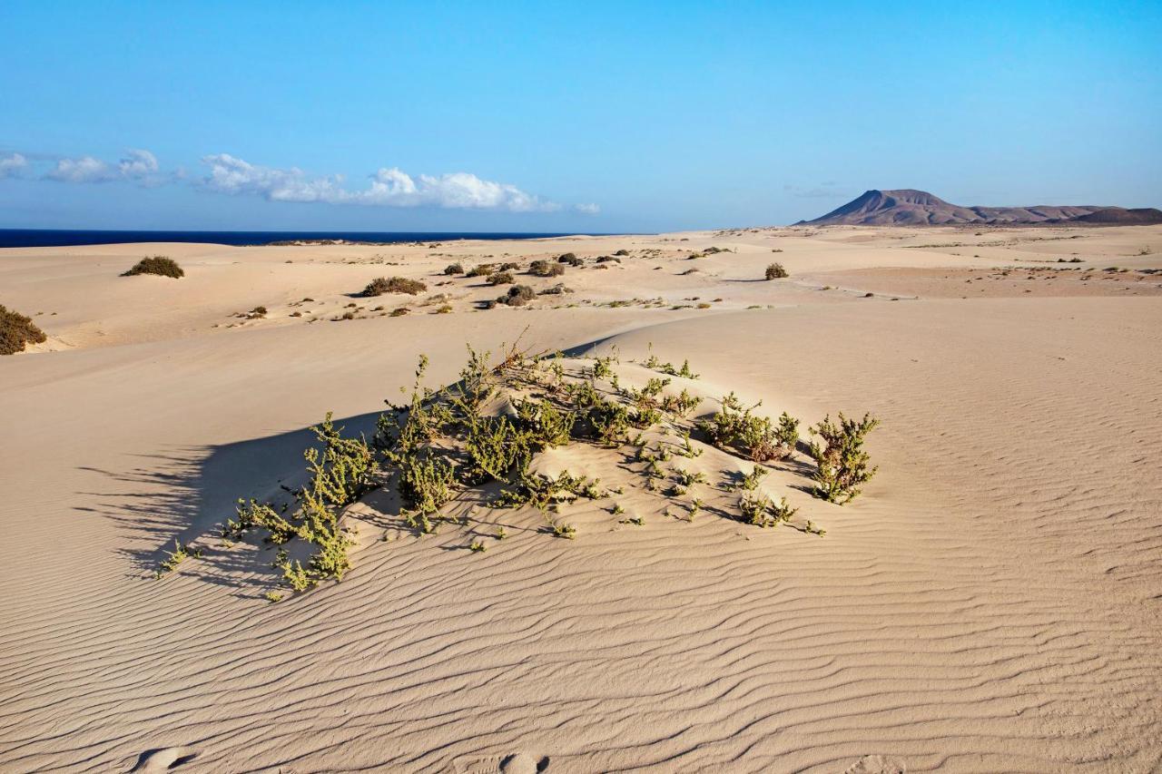 Villa Del Relax Corralejo Zewnętrze zdjęcie